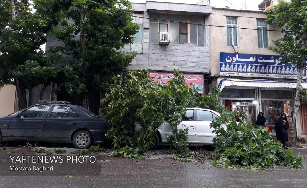 سقوط شاخه درخت در خیابان ناصر خسرو