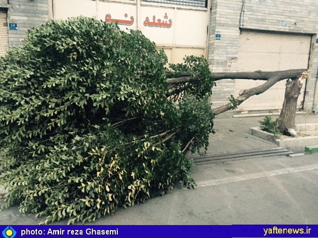 توفان شدیدی تهران را درنوردید