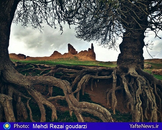 قلعه حاتم بروجرد لرستان درخت طبیعت