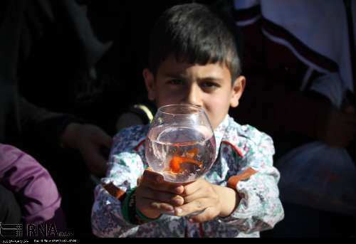 جشنواره رهاسازي ماهي قرمز در خرم‌آباد برگزار شد+ تصاویر