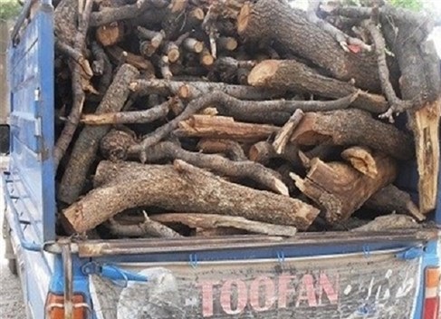 فرمانده انتظامی خرم‌آباد از کشف دو تن چوب درخت بلوط قاچاق در یکی از روستاهای اطراف این شهرستان خبر داد.
