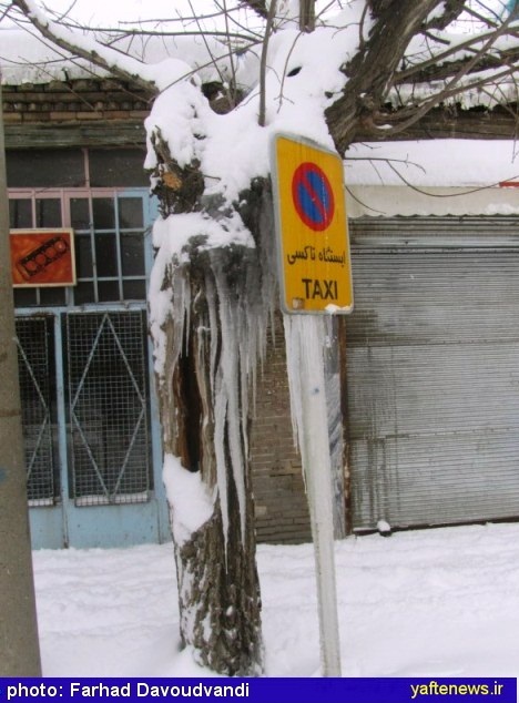بارش برف، این نعمت الهی در بروجرد- یافته
