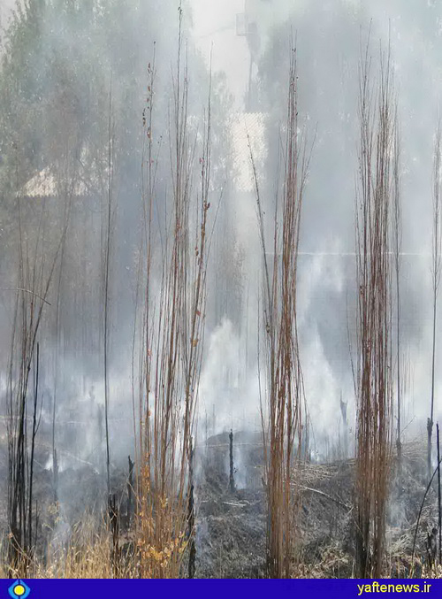 آتش‌سوزی گسترده در باغ‌های میوه پارك بهشت خرم‌آباد