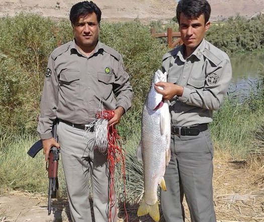 صيادان ماهی با مواد منفجره در پلدختر دستگیر شدند