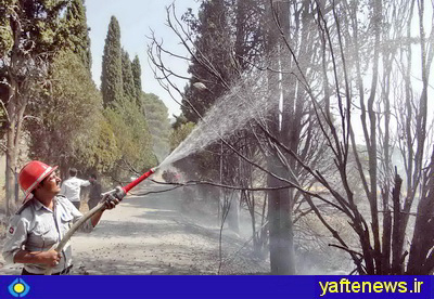 58 درخت در آتش‌سوزی باغ روستای سراب پرده از بين رفت