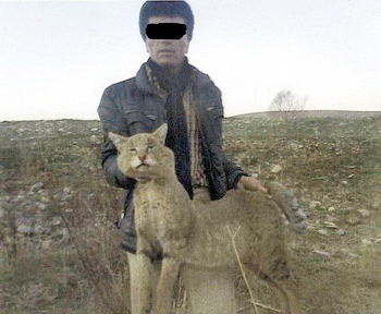 عكس دستگیری قاتل "گربه وحشی" توسط محیط زیست ازنا- يافته