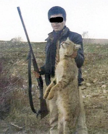 عكس دستگیری قاتل "گربه وحشی" توسط محیط زیست ازنا- يافته