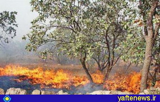 درختان بلوط شوراب طعمه حریق شدند/ آتش گرفتن كپسول cng دو خودرو در خرم‌آباد