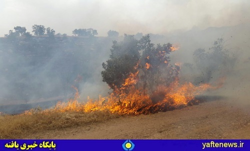 آتش‌سوزی مزارع کوهدشت به مراتع ملی رسید