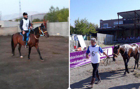 نفرات برتر رقابت‌های اسب سواری استقامت قهرمانی کشور معرفی شدند/ سه مقام سهم لرستان شد