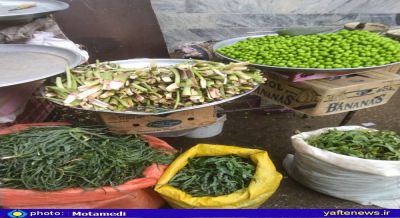دیدنی از بازار گیاهان بهاری در خرم‌آباد 